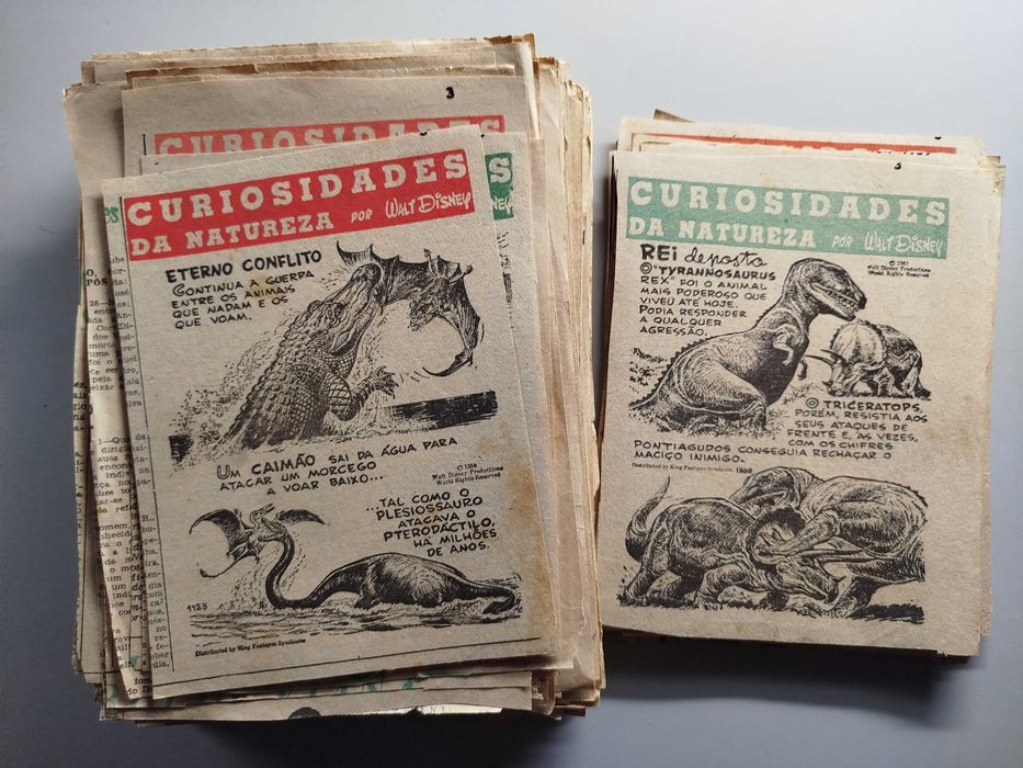 Curiosidades da Natureza por Walt Disney 330 Recortes de Jornal 1960s