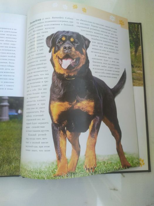 Наши  верные друзья -собаки.Книга.