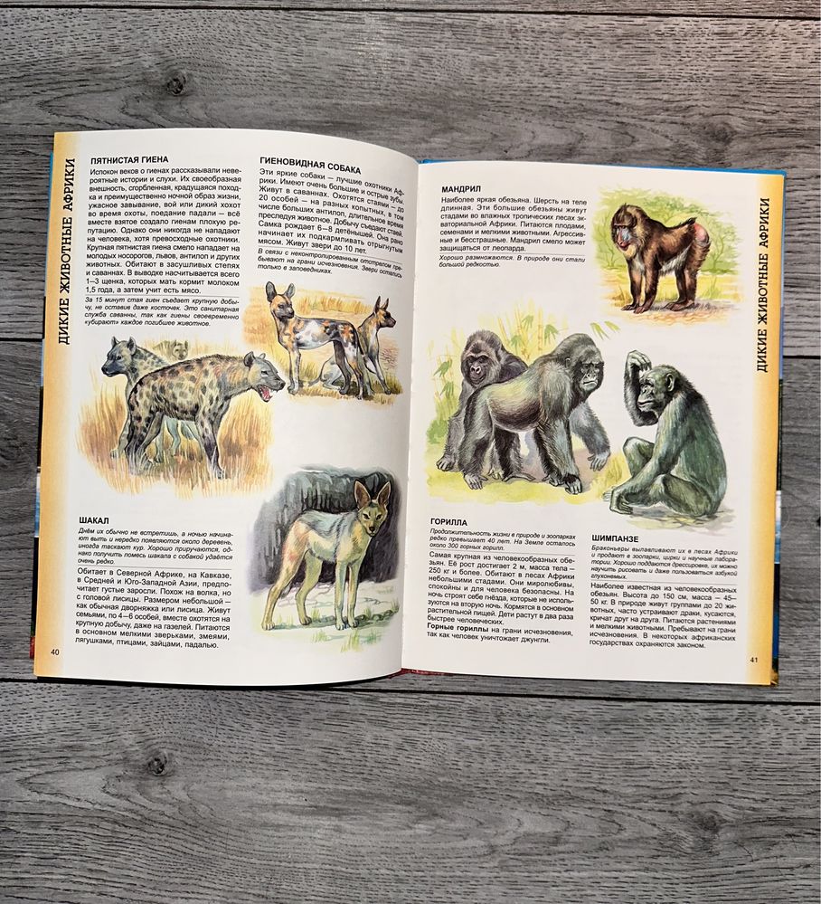 Энциклопедия животных большая книга