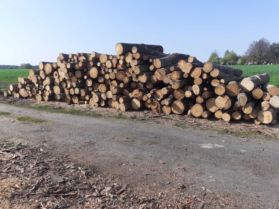 Drewno opałowe kominkowe