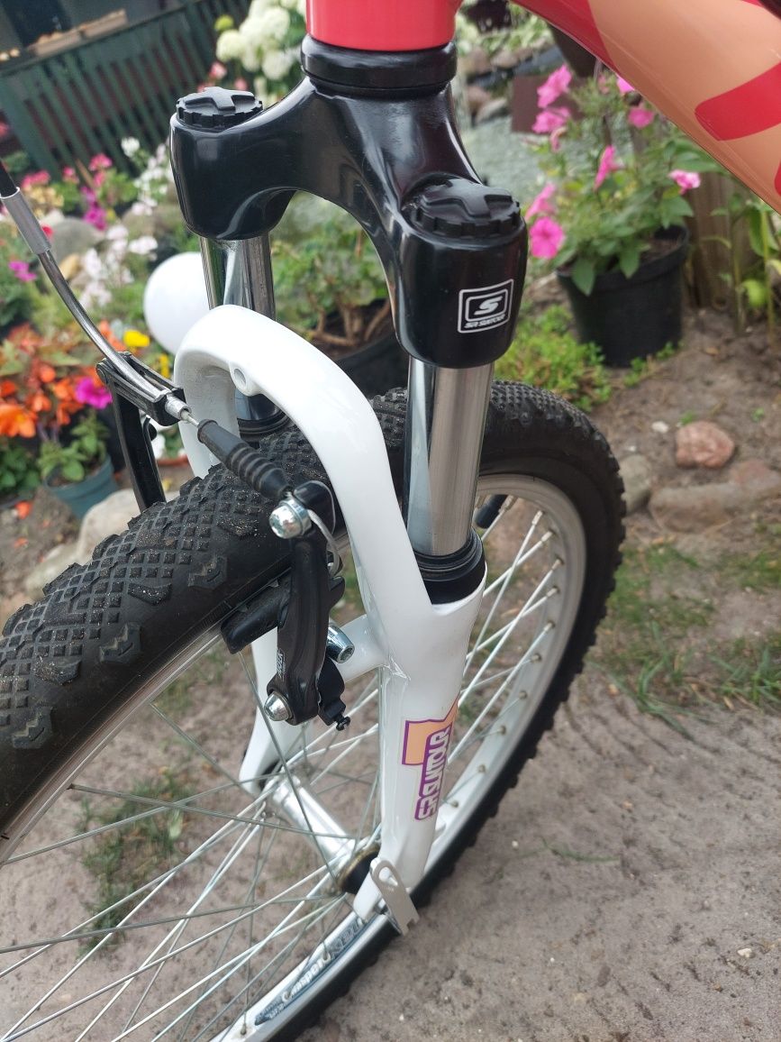 Rower kellys kiter 50