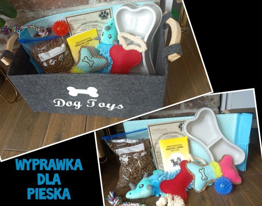 Maltipoo piesek miniaturka