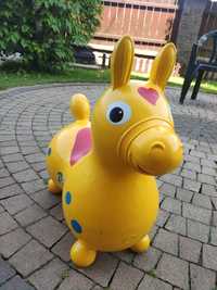 Konik do skakania Rody