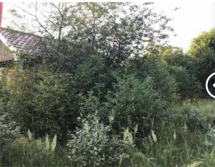 Розчистка ділянок під ключ/зрізання дерев/покос трави/прибирання