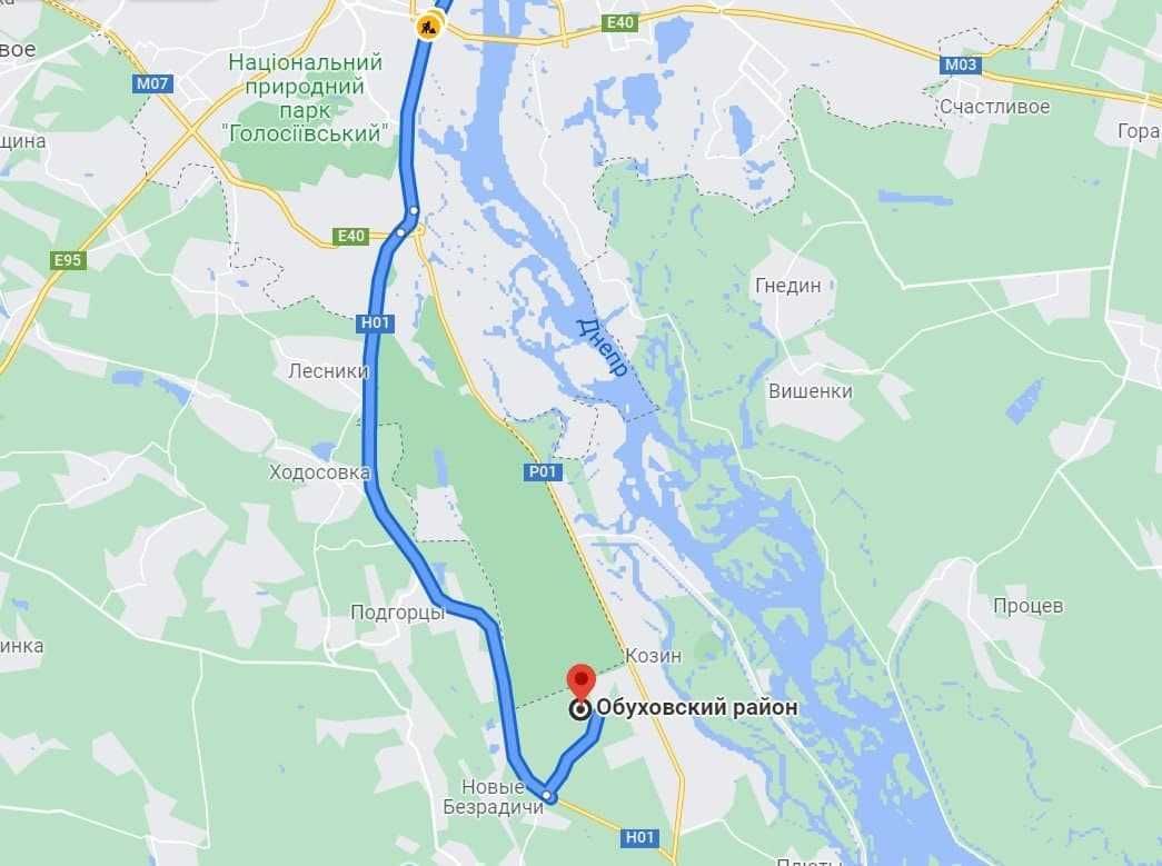 Козин, в самому центрі лісу!