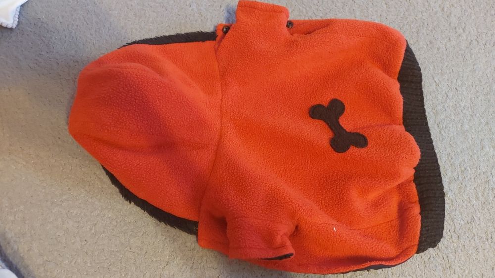 Ubranka dla psa York 2 sztuki