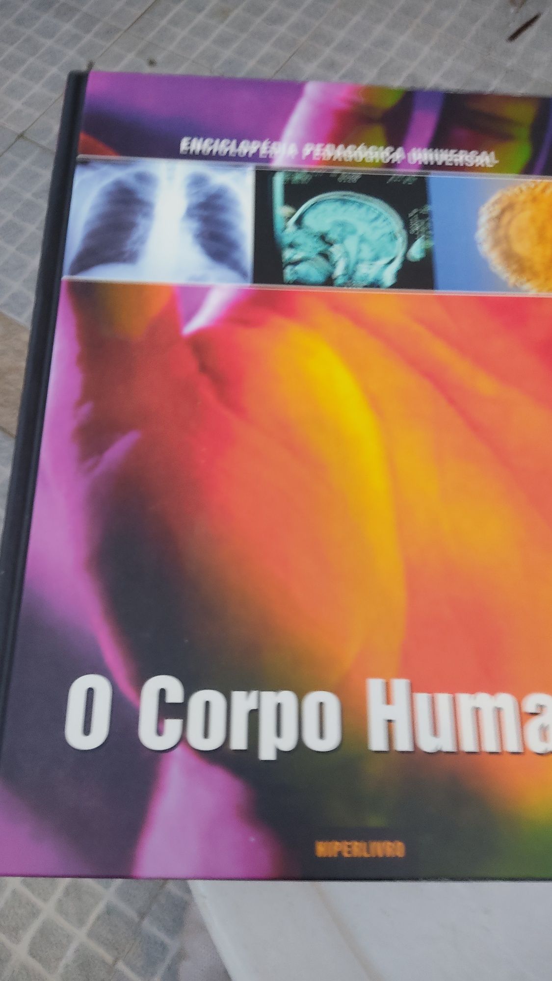 Enciclopédia pedagogia universal
