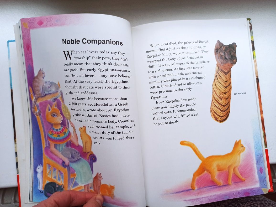 Pets and other animals книга про тварин англійською мовою для дітей