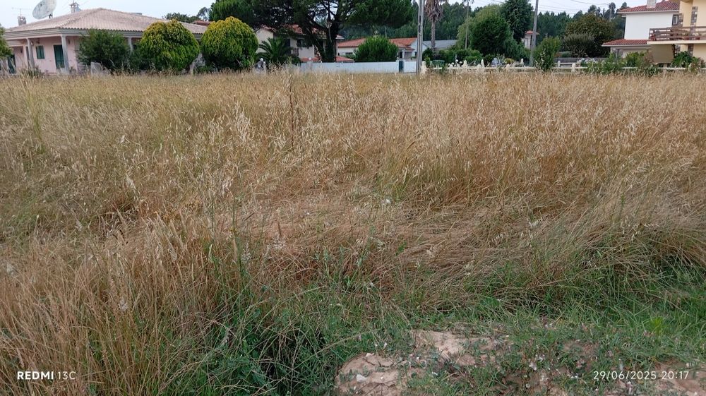 Vendo fardos de palha