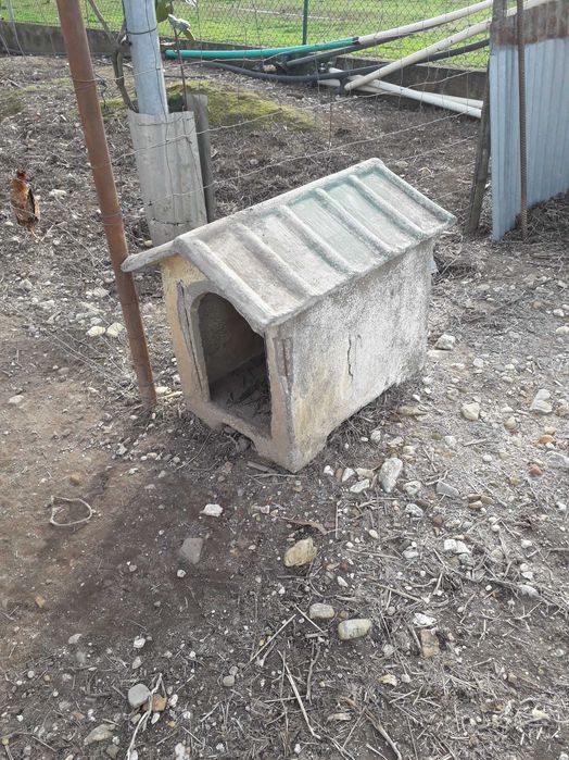 Casas para conforto de animais.