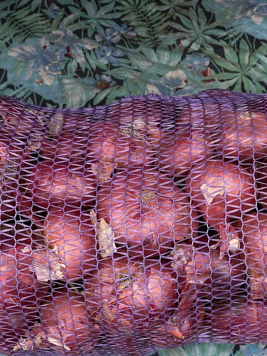 Цибуля синя Red Baron. Продам оптом/роздріб