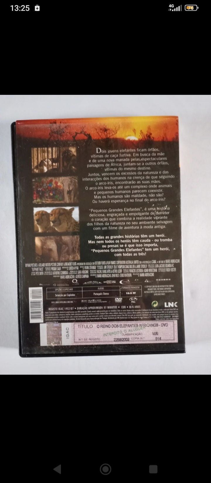 DVD Pequenos grandes elefantes