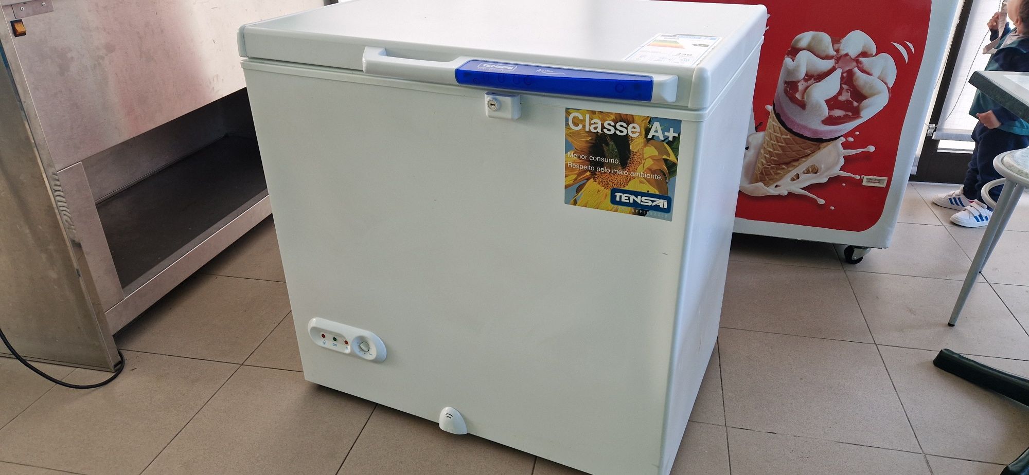 Arca congeladora 200L