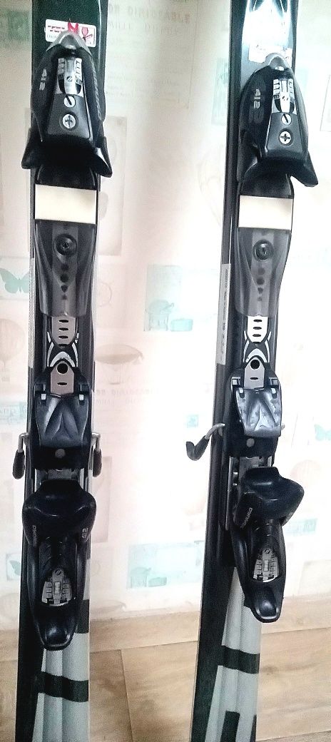 Лыжи горные DYNAMIC 170 см + палки Technopro 125 см