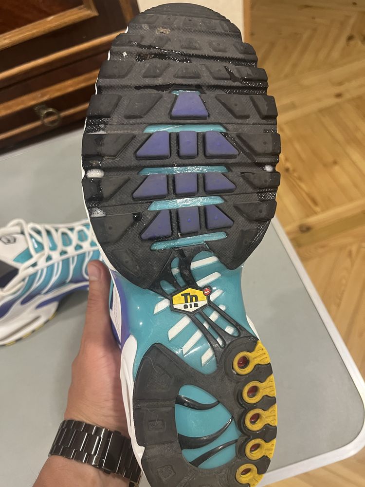 Чоловічі кросівки NIKE AIR MAX PLUS