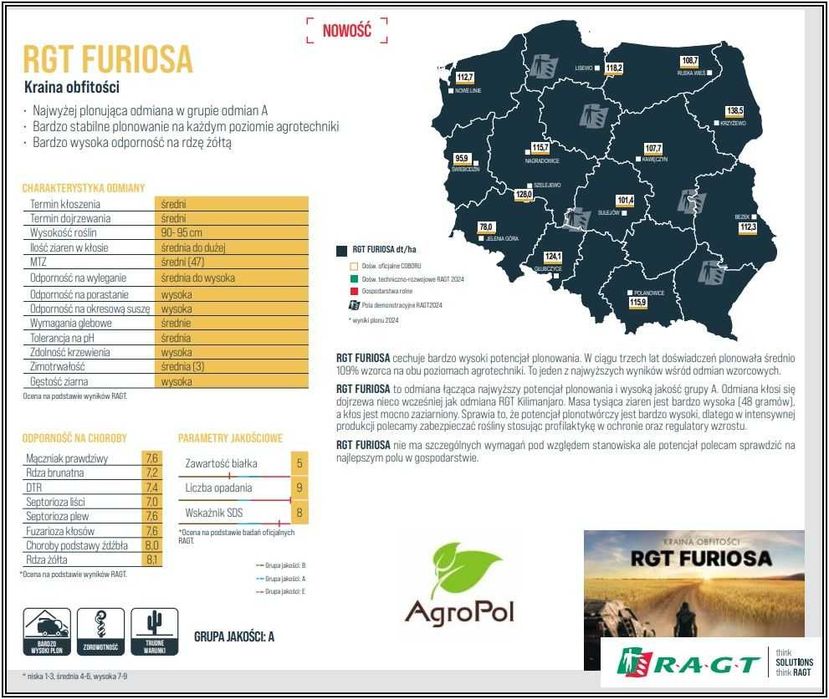 Pszenica Ozima RGT FURIOSA -Rewelacyjny Stabilny Plon Nasiona Dalgety