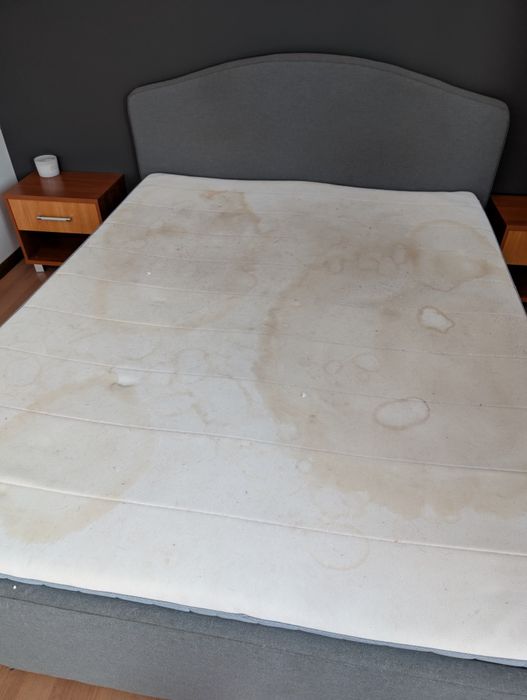 Pranie kanap, krzeseł, dywanów, tapicerki samochodowej