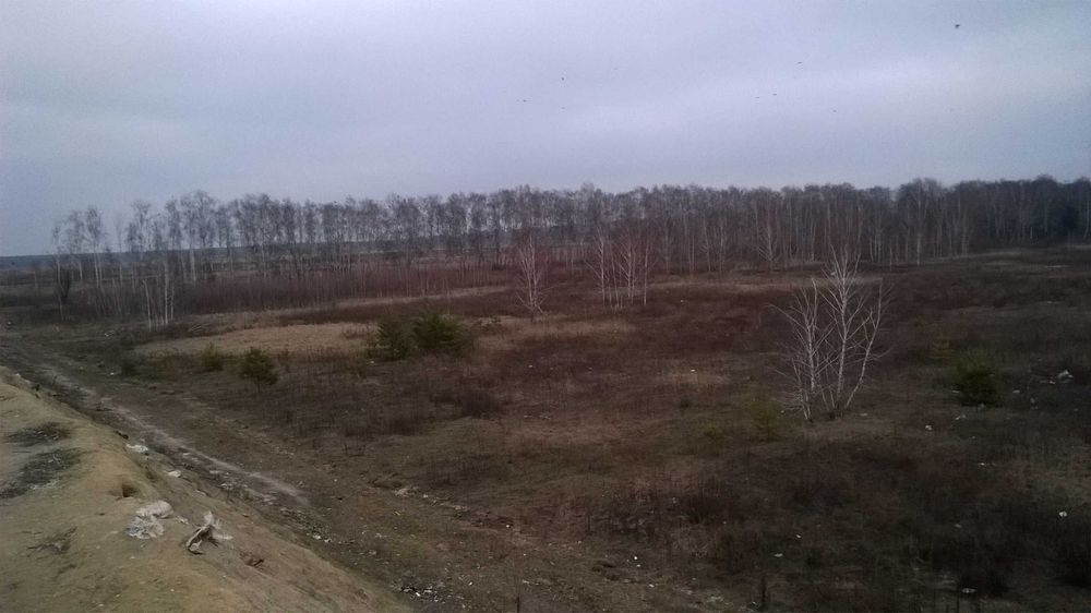 Продам земельну ділянку 1 га за межами села Рожівка, Броварський район
