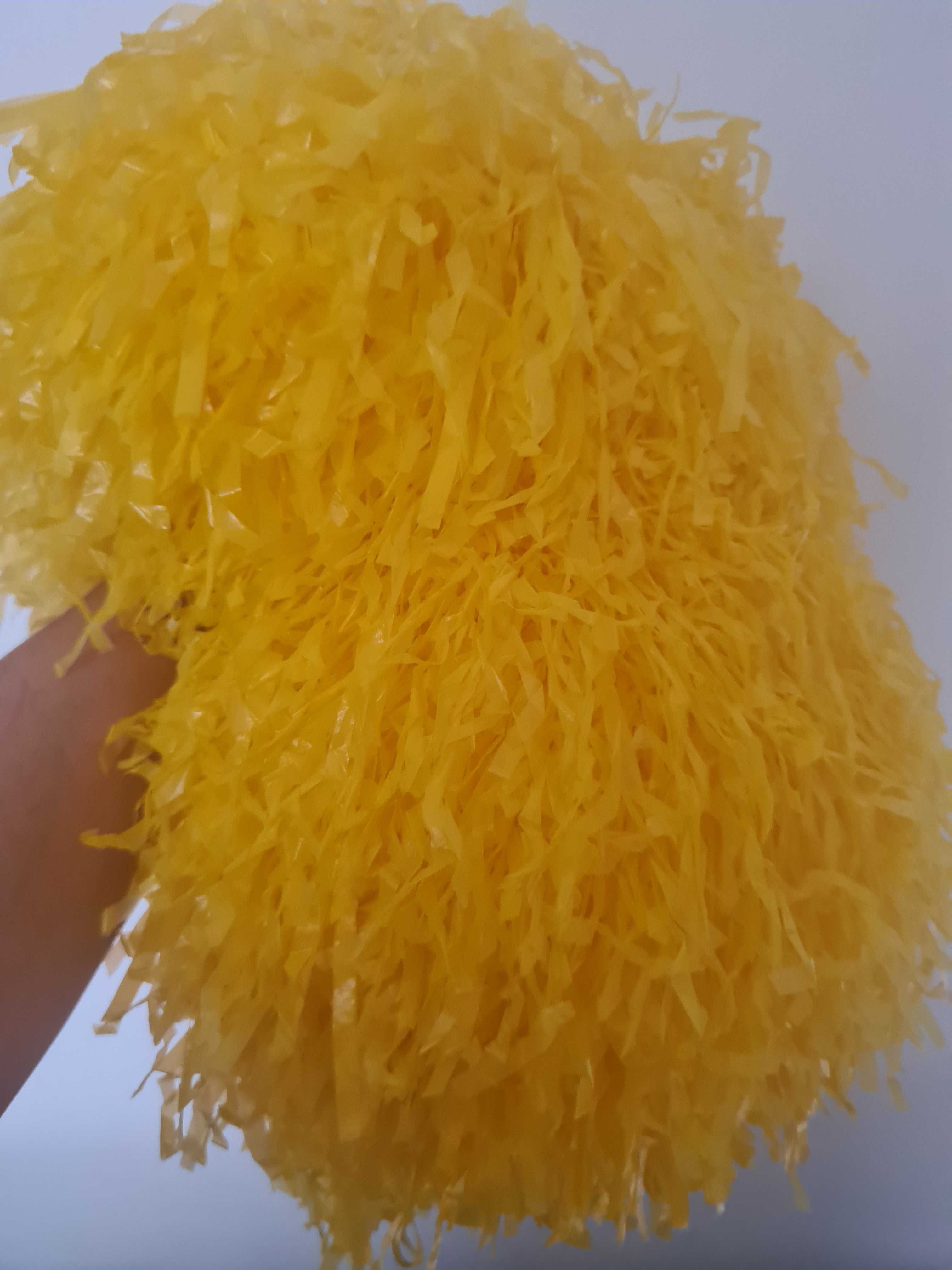 Popmon chirliderki