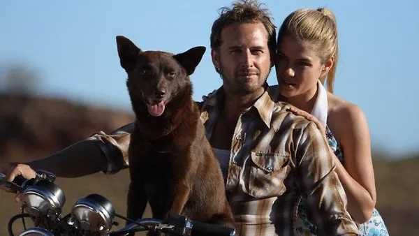 RED DOG - Uma História de Lealdade (Josh Lucas/Rachael Taylor)