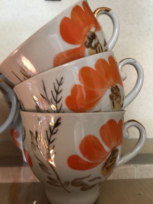 Баранівка, сервіз «Маки», частина