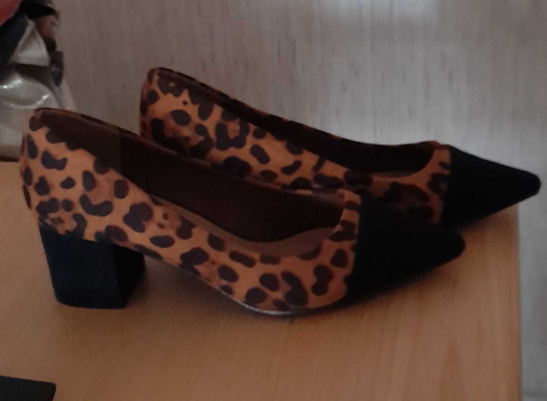 Sapato Camurça e Tigresa