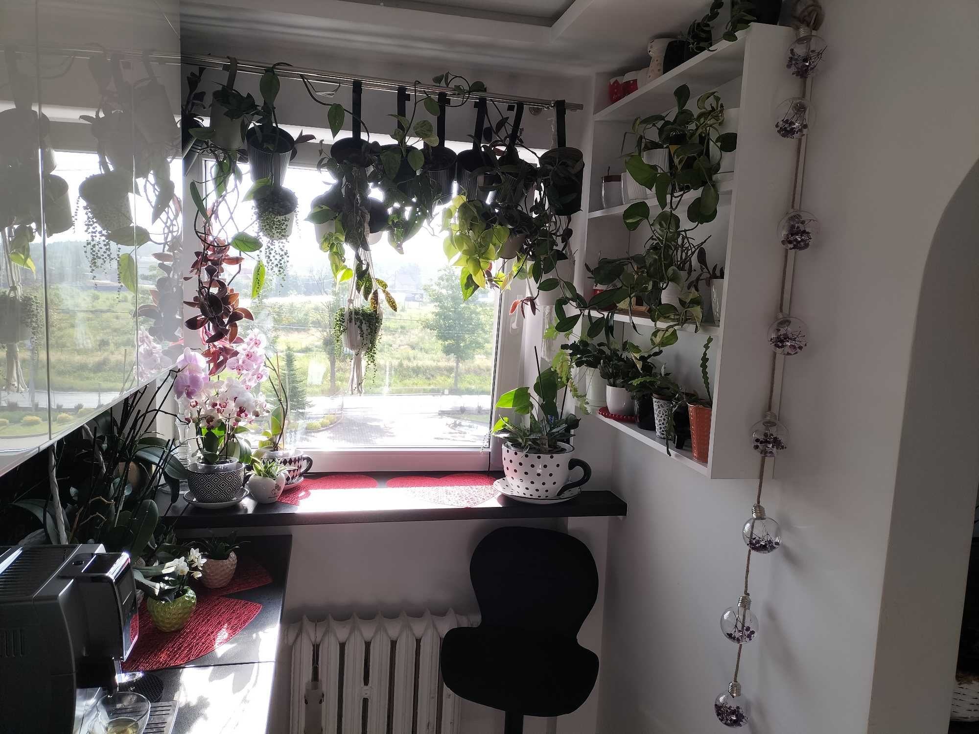 2-pokojowe mieszkanie 46,25 m² z 2 balkonami + garaż + piwnica