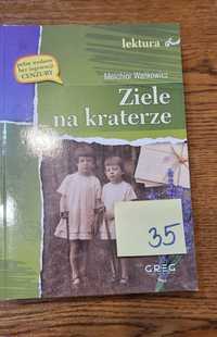 Ziele na kraterze