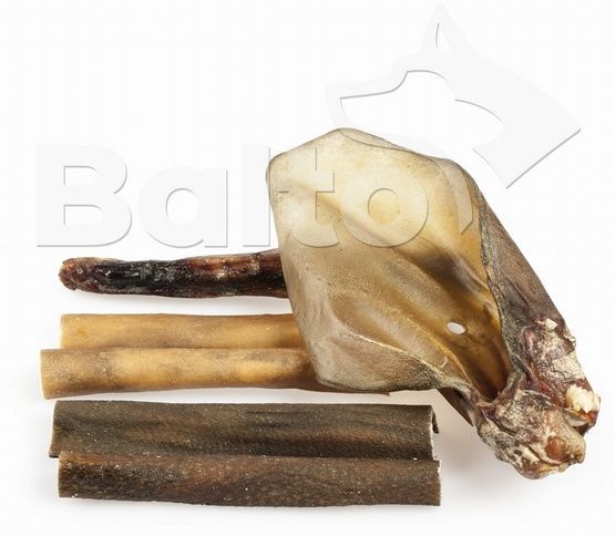Zestaw gryzaków dla psów o silnej potrzebie żucia - Balto 6szt