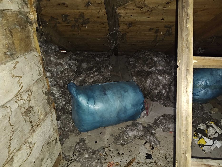 Oddam za darmo watę szklaną – do odbioru z poddasza