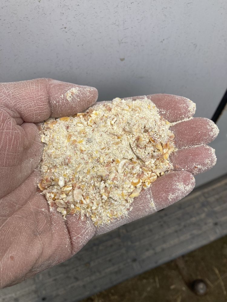 Продам , Товч , крупу кукурудзяну