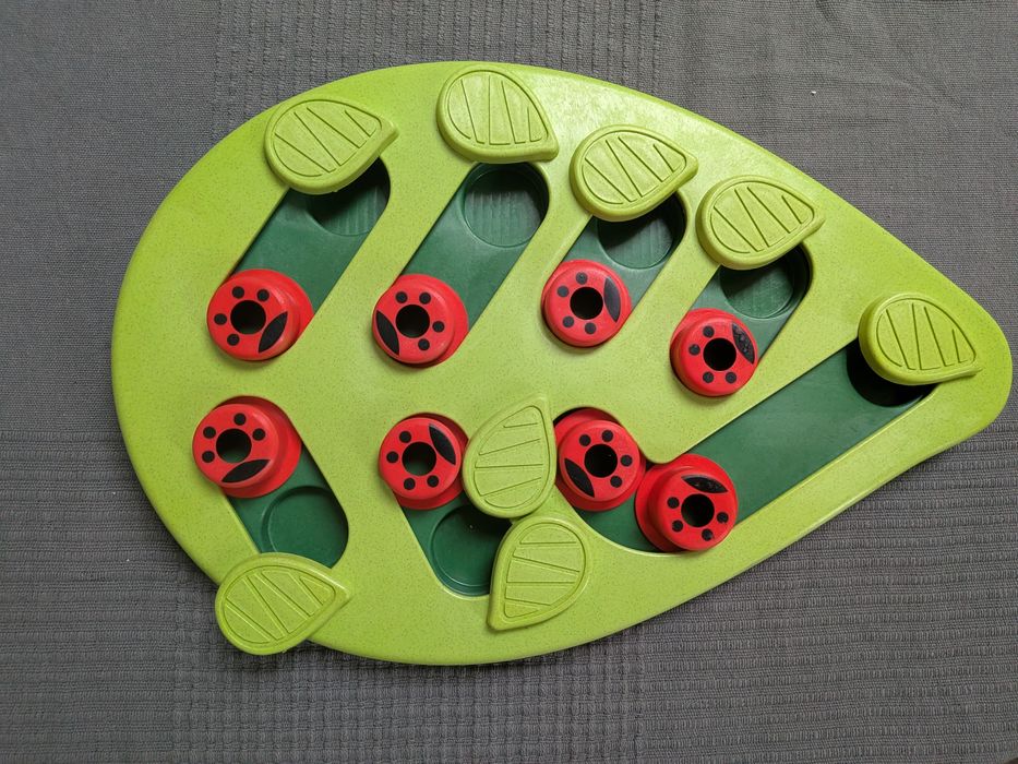 Nina Ottosson buggin'out poziom 2 łamigłówka dla kota