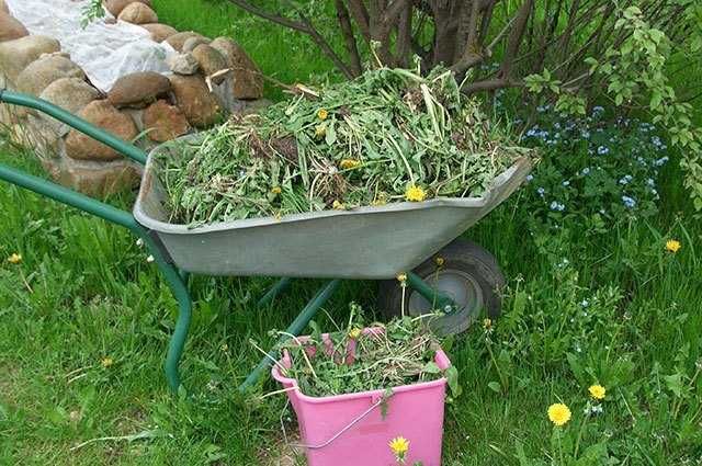 Садівник повний комплекс робіт по саду