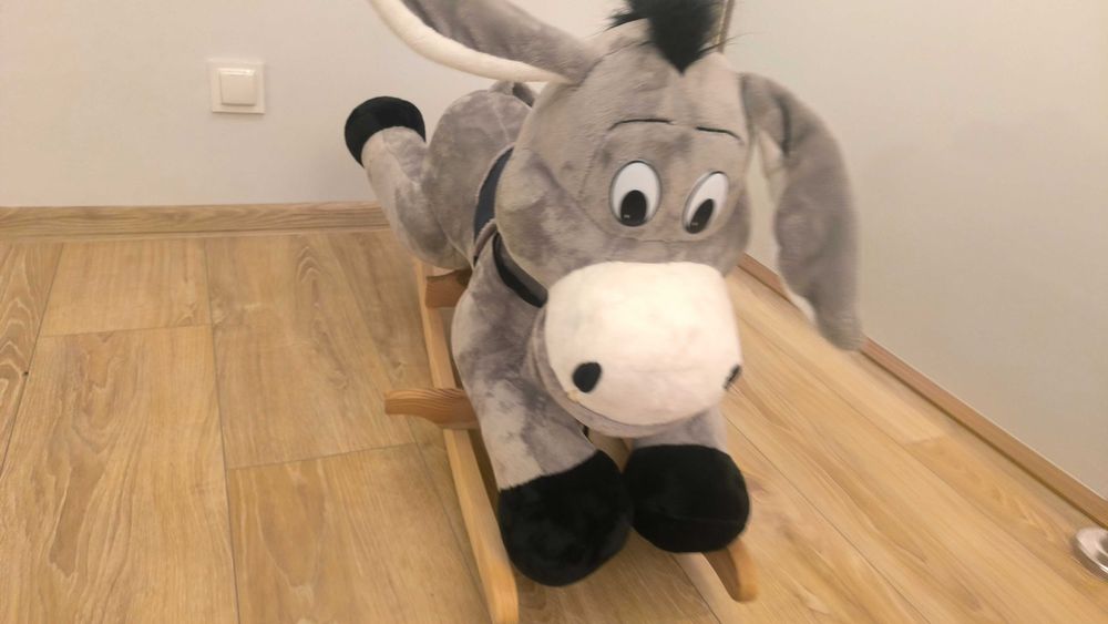 Zabawka na biegunach