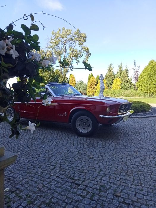 Ford Mustang do ślubu / samochód / kabriolet / klasyk / cabriolet