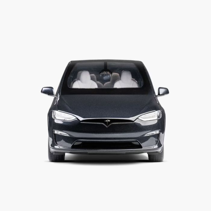 Лита модель Tesla model X