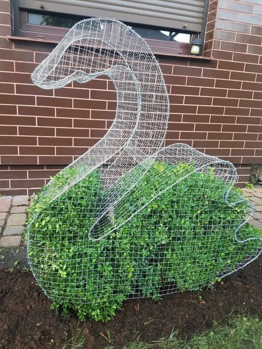 Topiary Formy ogrodowe