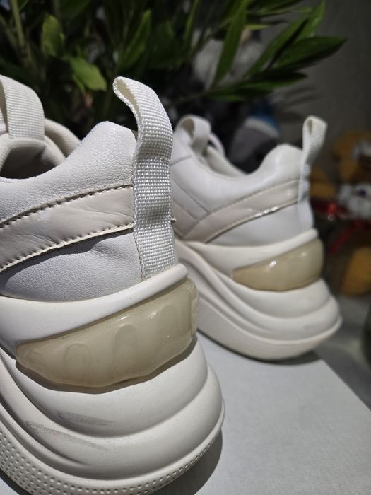 Шкіряні Жіночі Кросівки  Tomfrie