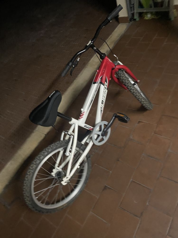bucicleta crianca
