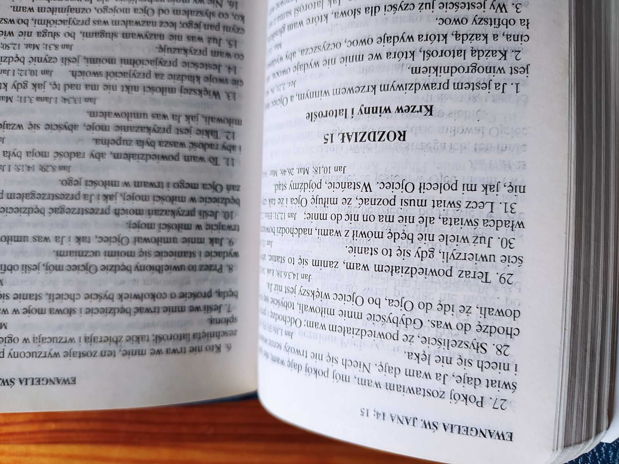 Książka Nowy Testament wydanie geodenitów