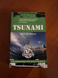 Tsunami - Robert Muchamore