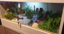 Terrarium meblowe 85x40x40