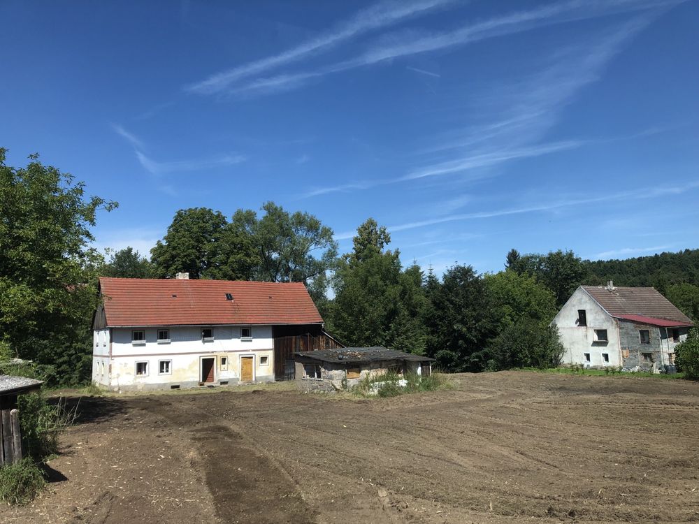 Rekultywacja/ Karczowanie/ Mulczer leśny/ Czyszczenie działek