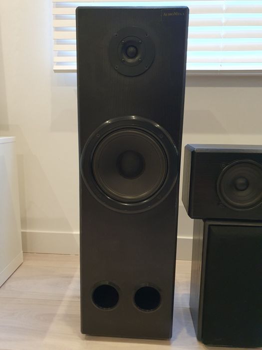 Kolumny / głośniki - zestaw kina domowego AudioMega