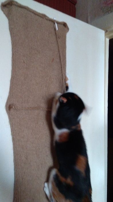 Когтеточка гибкая (вязаная) 152*32*0,5