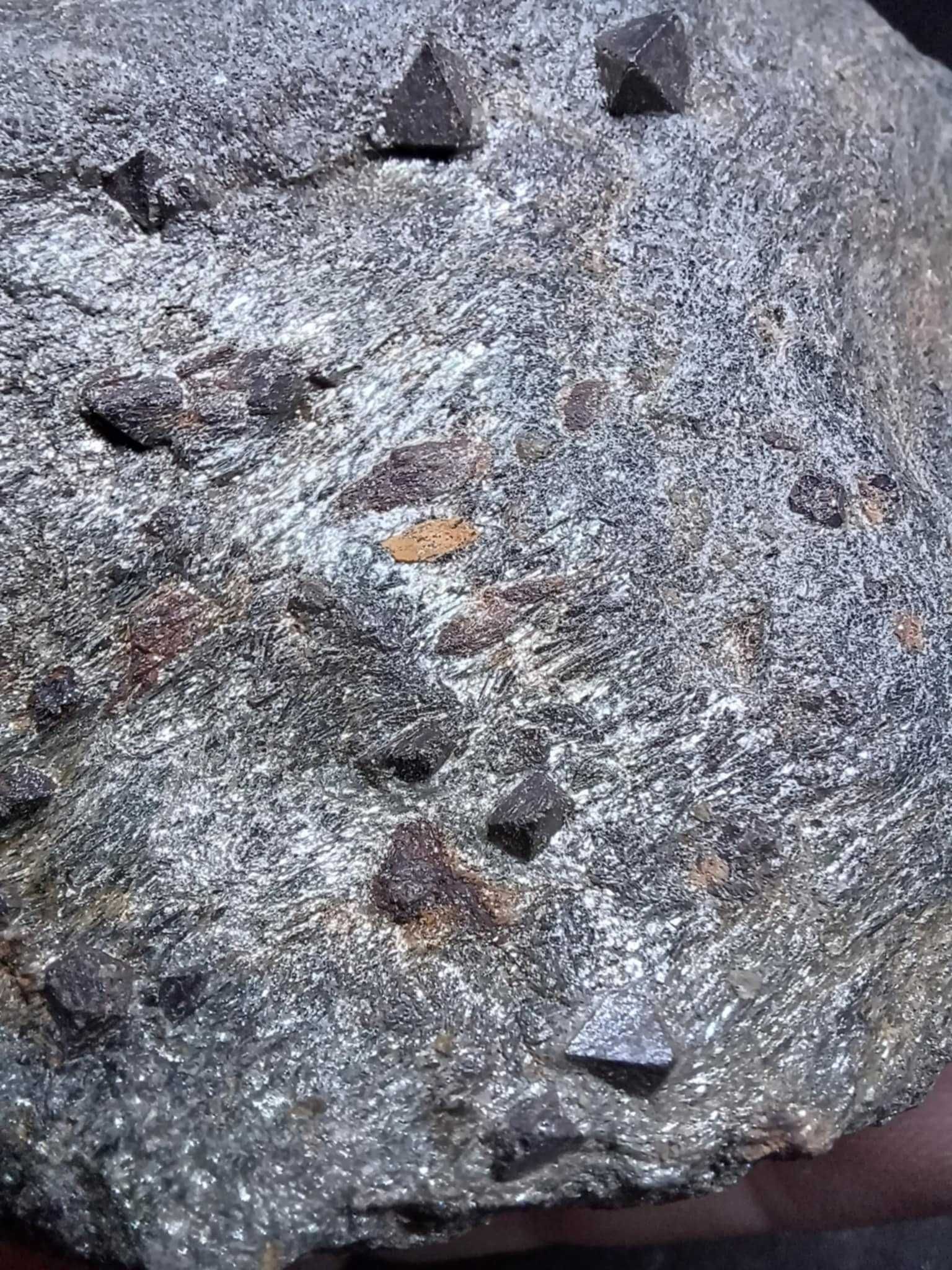 Magnetyt w amfibolicie. Ural. Rosja.