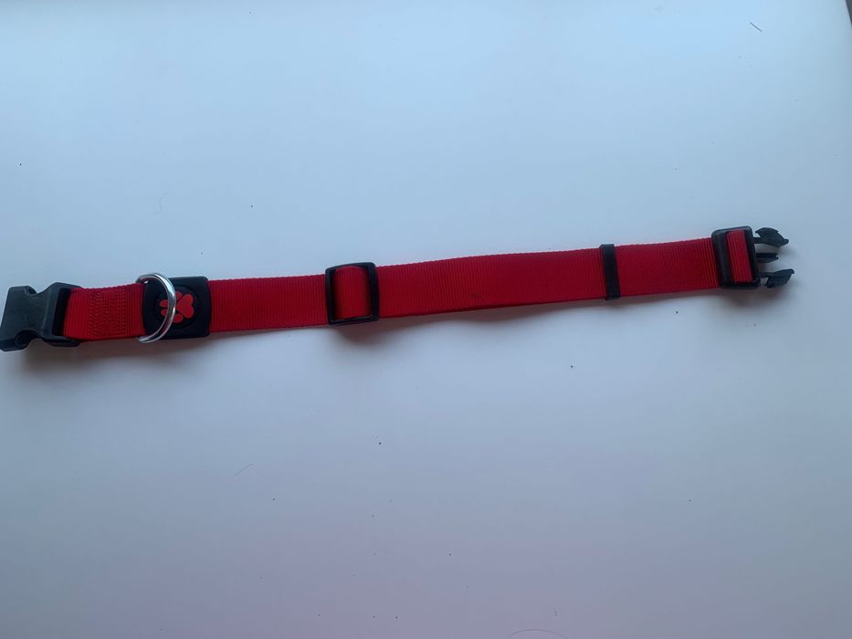 Нашийник для собак,оригінал