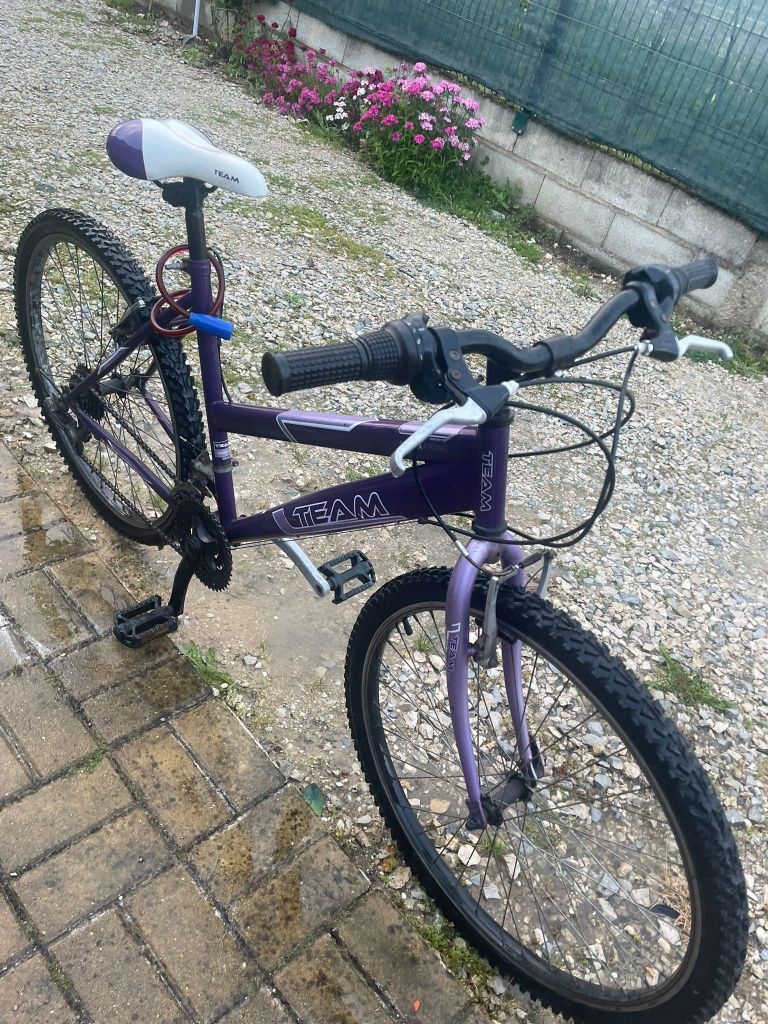 Vendo Bicicleta TEAM