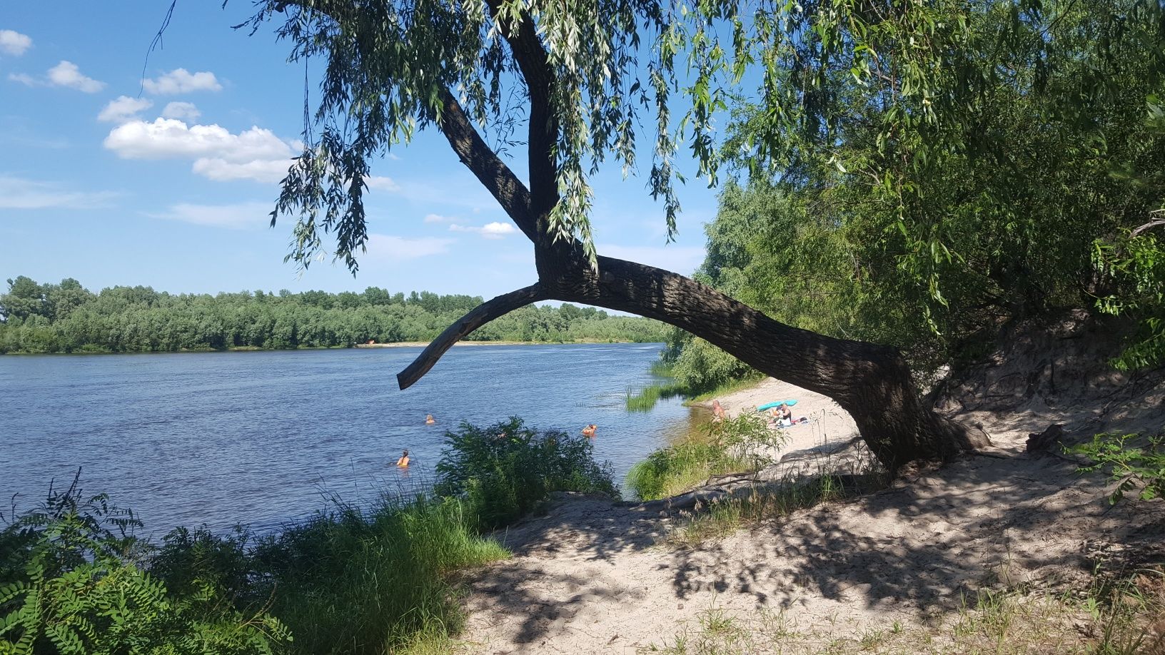 Дача на Десне, 15 км от киева. Сады Зазимье (дачи).