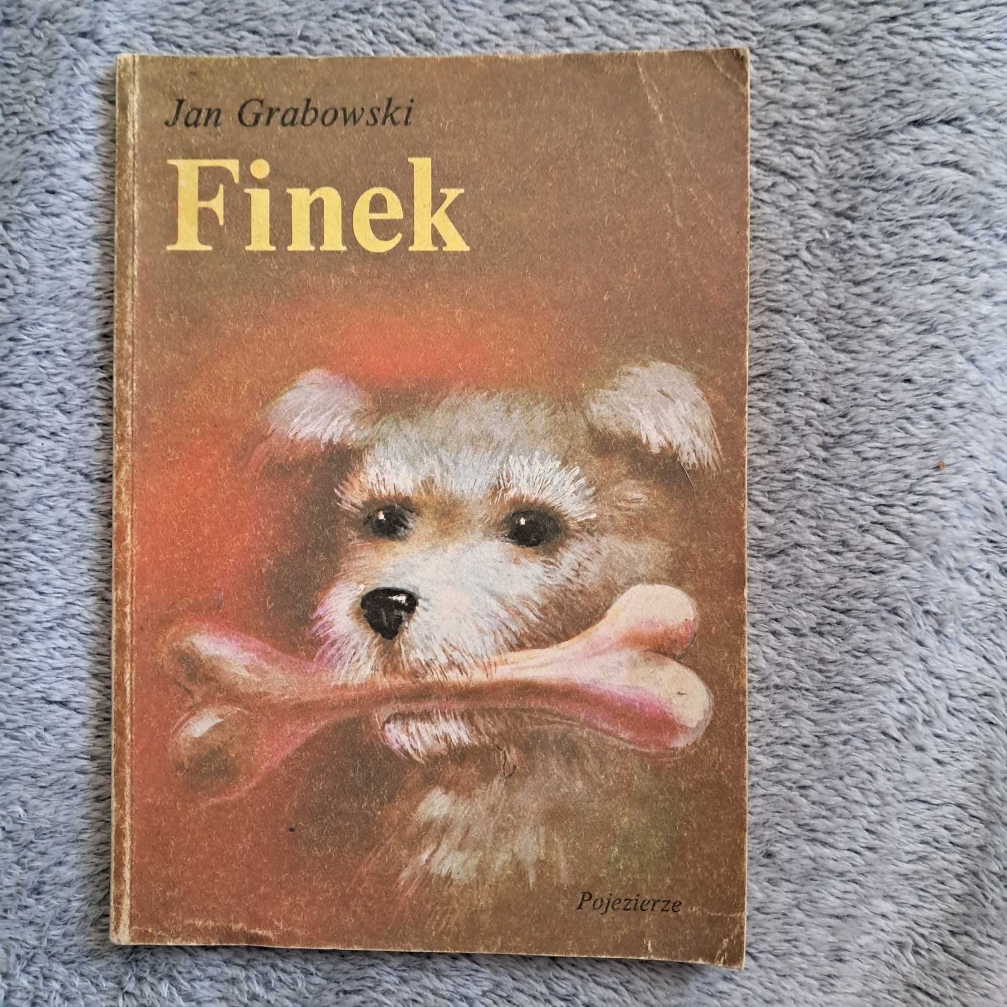 Książka Finek Jan Grabowski